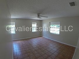 Single Family Home For Rent in Tampa, FL (Photo 5 of 8)