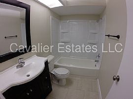 Single Family Home For Rent in Tampa, FL (Photo 6 of 8)