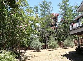 4 Beds 3.5 Baths in Los Altos Hills, Ca  in Los Altos Hills, CA (Photo 4 of 11)