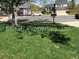 Single Family Home For Rent in Aurora, CO (Photo 12 of 12)