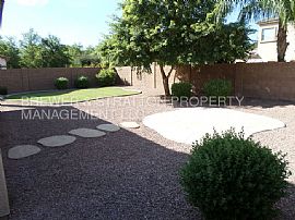 Single Family Home For Rent in Chandler, AZ (Photo 5 of 6)