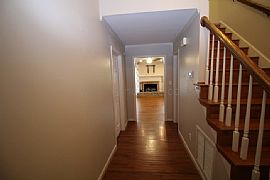 Single Family Home For Rent in Homewood, AL (Photo 5 of 9)