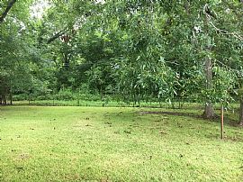 Cute 3 Bedroom Home Available in Alexandria, LA (Photo 11 of 11)