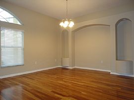 Single Family Home For Rent in Lithia, FL (Photo 3 of 9)