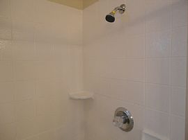 Single Family Home For Rent in Lithia, FL (Photo 7 of 9)