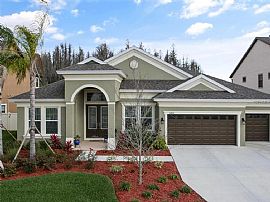 32861 Natural Bridge Rd, Wesley Chapel, Fl 33543 in Wesley Chapel, FL