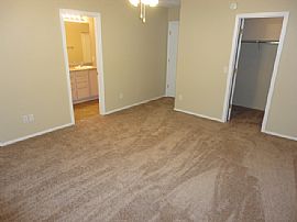 Single Family Home For Rent in Tucson, AZ (Photo 11 of 12)