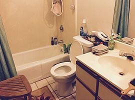 2 Beds 2 Baths in Honolulu, Hi in Honolulu, HI (Photo 3 of 8)