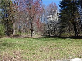 3 Bedroom Home in a Serene and Woody Enviroment in Bloomfield, CT (Photo 9 of 9)