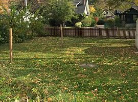 3 Beds 2 Baths in 3 Beds 2 Baths in Rochester, NY (Photo 9 of 9)