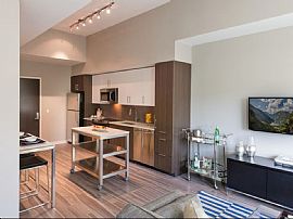  Pet-Friendly Rental Residence with Stunning Views of The Washi in Washington, DC (Photo 8 of 12)