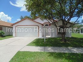 Single Family Home For Rent in Brandon, FL