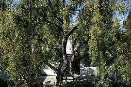  878 Bing Dr Apt 3, Santa Clara, Ca 95051 3 Beds 1.5 Baths 1,00 in Santa Clara, CA (Photo 2 of 10)