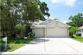  1612 Brilliant Cut Way, Valrico, Fl 33594  in Valrico, FL