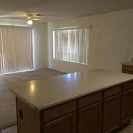 Gorgeous and Charming 3 Bedroom, 2 Bath in Phoenix, AZ (Photo 7 of 12)