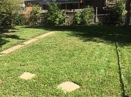 2164 S Newton St, Denver, Co 80219 3 Beds 2 Baths 1,096 Sqft in Denver, CO (Photo 5 of 12)