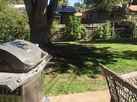 2164 S Newton St, Denver, Co 80219 3 Beds 2 Baths 1,096 Sqft in Denver, CO (Photo 9 of 12)