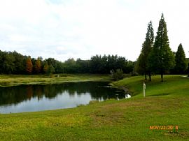 Spacious 2 Bed 2 Bath Condo Washer/dryer Included  in Zephyrhills, FL (Photo 2 of 12)