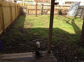 1308 N 2nd St, Temple (747) 444-3766 in Temple, TX (Photo 5 of 6)