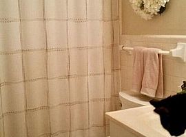 61 Brookwood Ter, Nashville, Tn 37205 2 Beds 1 Bath 1,300 Sqft in Nashville, TN (Photo 4 of 8)