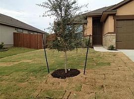 19013 Mangan Way, Pflugerville, Tx 78660 3 Beds 2 Baths 1,506 S in Pflugerville, TX (Photo 12 of 12)