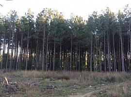 553 E Greentree Rd, Ward, Ar 72176 3 Beds 2 Baths 1,850 Sqft in Ward, AR (Photo 4 of 6)