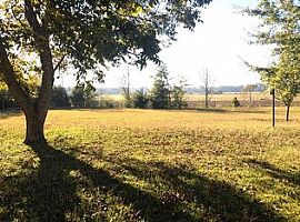 209 Pineridge Rd, Taylor, Al 36301 3 Beds 2 Baths 1,290 Sqft in Taylor, AL (Photo 2 of 10)