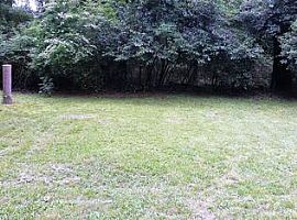 3310 Brookwood Ct Columbia, Sc 29204 (747) 444-3766 in Columbia, SC (Photo 11 of 12)