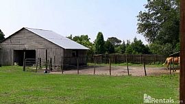 31804 Tally Ho Ln, Zephyrhills, Fl 33543 in Wesley Chapel, FL (Photo 7 of 10)