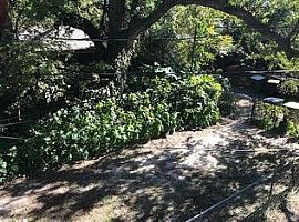 513 E 49th St Savannah, Ga 31405 (747) 444-3766 in Savannah, GA (Photo 8 of 9)