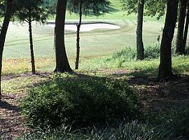 1104 Berwick Rd, Birmingham, Al 35242 in Birmingham, AL (Photo 12 of 12)