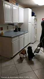 1195 Lake Dr in North Pole, AK (Photo 3 of 4)