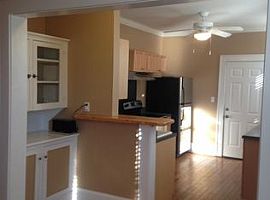 10 Oak Park Rd Asheville, Nc 28801 (747) 444-3766 in Asheville, NC (Photo 5 of 12)