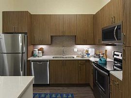 Studio–2 Beds For Rent in 673 Ne 3rd Ave, Fort Lauderdale,Fl $1 in Fort Lauderdale, FL (Photo 5 of 12)