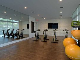 Studio–2 Beds For Rent in 673 Ne 3rd Ave, Fort Lauderdale,Fl $1 in Fort Lauderdale, FL (Photo 7 of 12)