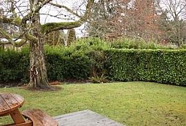 2221 Shirley St Se, Lacey, Wa 98503 4 Beds 1.5 Baths 1,710 Sqft in Lacey, WA (Photo 2 of 8)