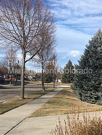 Single Family Home For Rent in Fort Collins, CO (Photo 6 of 7)