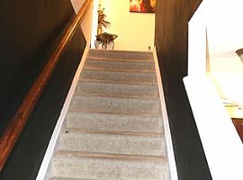 18 Driftwood Ave, Elgin, Sc 29045 (747) 444-3766 in Elgin, SC (Photo 5 of 10)