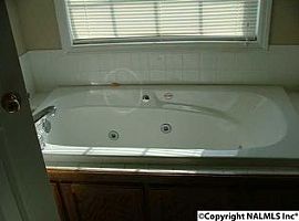 344 Steakley Rd, New Market, Al 35761 in New Market, AL (Photo 3 of 9)