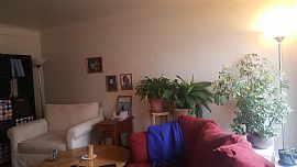 2 Beds 1 Bath Home Near Main Road in Ann Arbor, MI