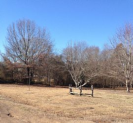      3 Beds 2 Baths 1,056 Sqft 1.50 Acres Lot Size Single-Famil in Texarkana, AR (Photo 3 of 5)