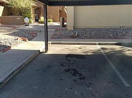 3228 W Glendale Ave Apt 126, Phoenix, Az 85051 in Phoenix, AZ (Photo 6 of 6)