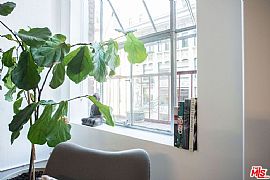 Step Inside This Bright and Airy, Old Factory in Los Angeles, CA (Photo 9 of 12)