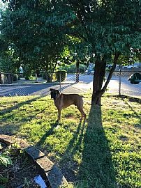 5604 Se Holgate Blvd, Portland, Or 97206 3 Beds 1 Bath 1,789 Sq in Portland, OR (Photo 5 of 7)