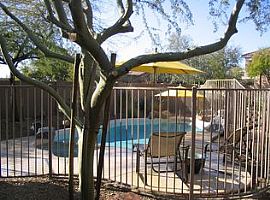 10272 E Rosemary Ln, Scottsdale, Az 85255 in Scottsdale, AZ (Photo 9 of 9)