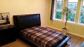 3263 W Wabansia Ave Apt 3, Chicago, Il in Chicago, IL (Photo 8 of 12)