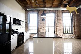 1435 W 15th St, Chicago in Chicago, IL