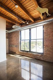 1435 W 15th St, Chicago in Chicago, IL (Photo 8 of 12)