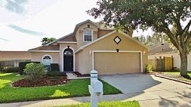 28943 Stormcloud Pass, Wesley Chapel, Fl 33543 in Wesley Chapel, FL