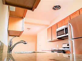 Large and Clean Luxury 1-Bedroom with 1-Bathroom Unit  in Chicago, IL (Photo 4 of 10)